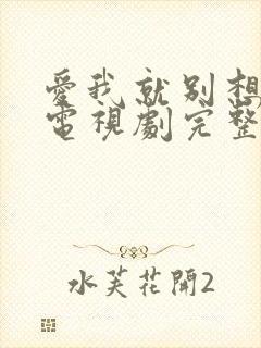 爱我就别想太多电视剧完整版40集