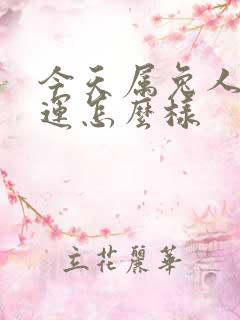 今天属兔人的财运怎么样