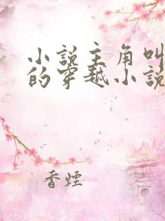 小说主角叫金峰的穿越小说