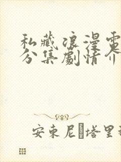 私藏浪漫电视猫分集剧情介绍