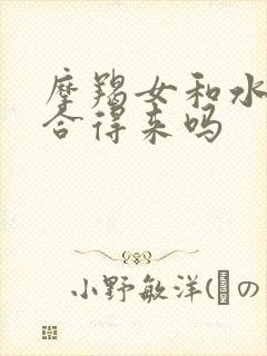 摩羯女和水瓶女合得来吗