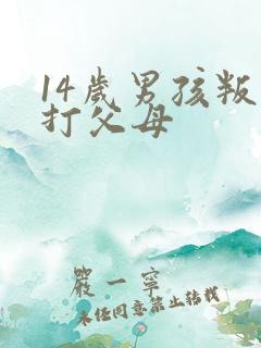 14岁男孩叛逆打父母