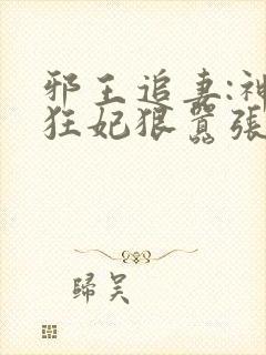 邪王追妻:神医狂妃狠嚣张小说