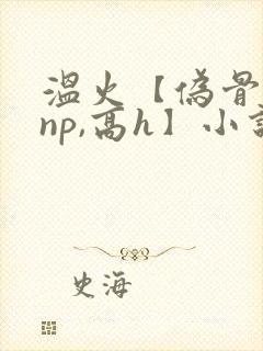 温火【伪骨科,np,高h】小说