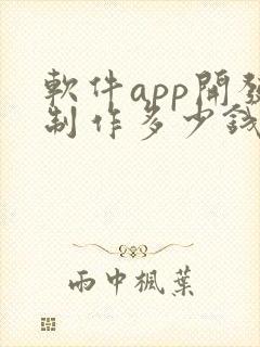 软件app开发制作多少钱