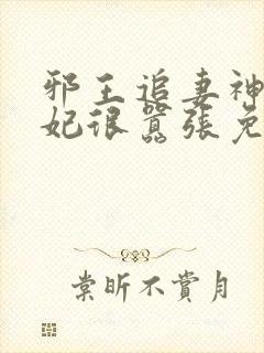 邪王追妻神医狂妃很嚣张免费阅读