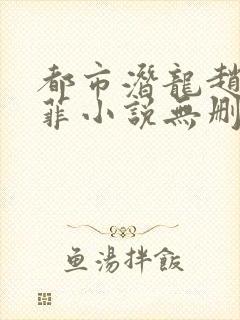 都市潜龙赵东苏菲小说无删减版