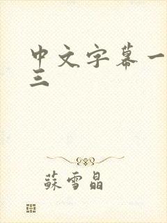 中文字幕一三