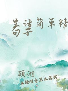 生活简单精致的句子