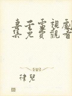 妻子电视剧26集免费观看
