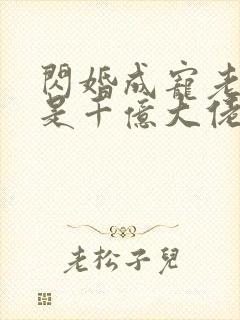 闪婚成宠老公竟是千亿大佬免费下载