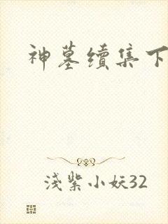 神墓续集下载