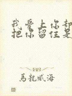 我爱上你却没能把你留住是什么歌