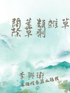 阔叶类杂草特效除草剂
