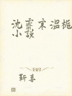 沈霁寒温栀妍的小说