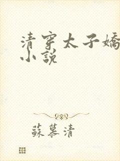 清穿太子娇妃的小说