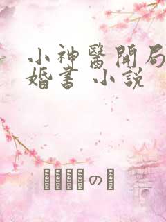 小神医开局九张婚书 小说