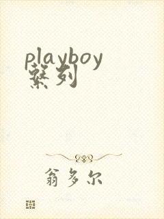 playboy系列