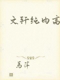 文轩纯肉高h