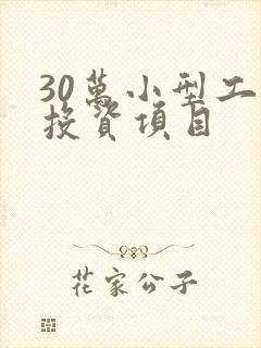 30万小型工厂投资项目