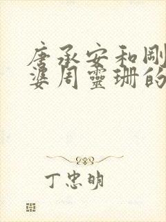 唐承安和刚子老婆周灵珊的小说免费阅读