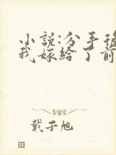 小说:分手后,我嫁给了前男友的小叔