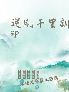 逆风千里训诫文sp
