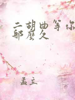二胡曲等你等了那么久