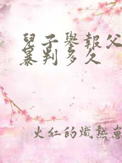 儿子举报父亲家暴判多久