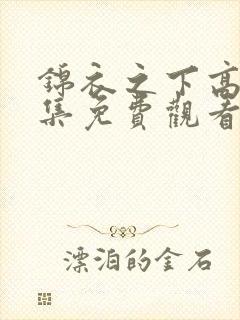 锦衣之下高清全集免费观看
