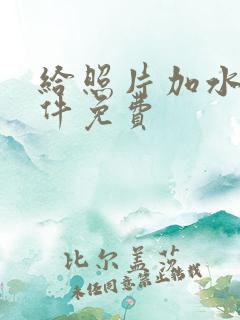 给照片加水印软件免费