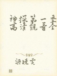 神探第一季免费高清观看全集