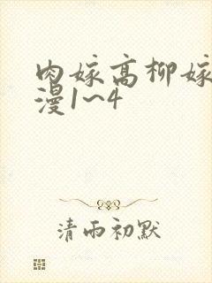肉嫁高柳嫁家动漫1~4