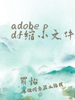 adobe pdf缩小文件大小