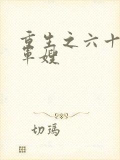 重生之六十年代军嫂