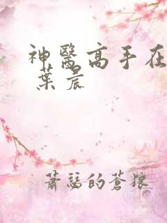 神医高手在都市 叶晨