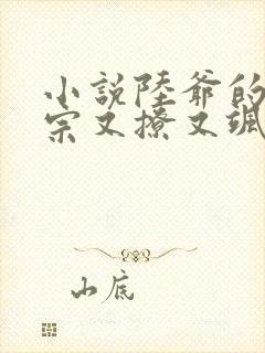 小说陆爷的小祖宗又撩又飒