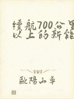 续航700公里以上的新能源汽车