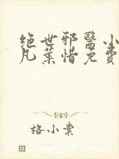 绝世邪医小说林凡叶惜免费阅读全文