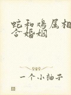 蛇和鸡属相合不合婚姻