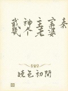 武神主宰秦尘有几个老婆