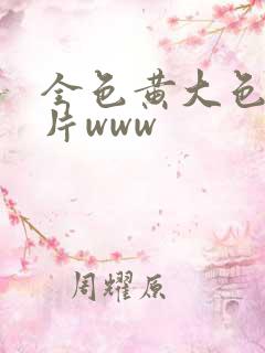 全色黄大色黄大片www
