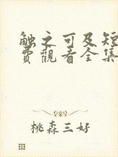 触之可及短剧免费观看全集高清