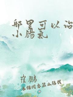 哪里可以治疗好小肠气