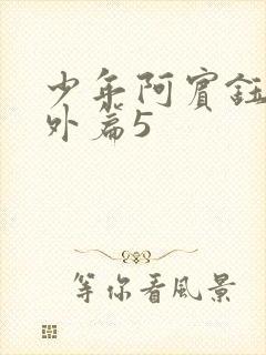 少年阿宾钰慧番外篇5