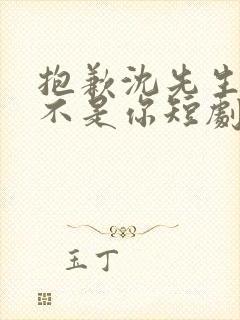 抱歉沈先生孩子不是你短剧