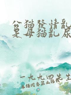 公猫发情乱尿还是母猫乱尿