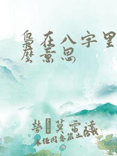 枭在八字里是什么意思