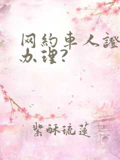 网约车人证如何办理?