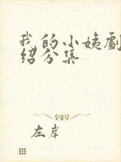 我的小姨剧情介绍分集